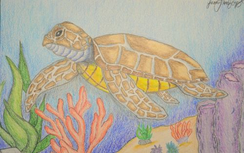 Janna Gapuz, 15 years old, McNair Academic High School, Jersey City, NJ, USA