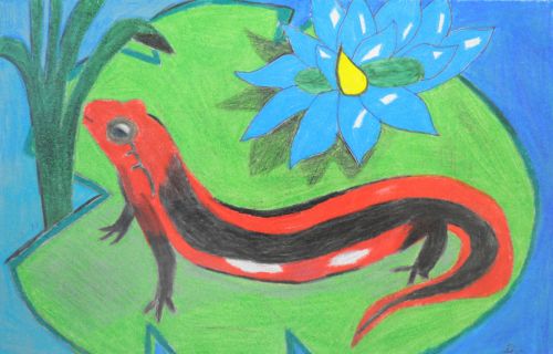 Priya Neil, 16 years old, Jersey City, NJ, USA