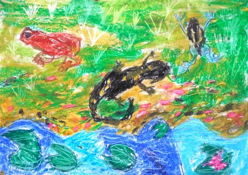 Honorable Mention, Csenge Markus, Hungary, Frogs Are Green Kids Art Contest - Ages 7-9