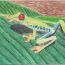 Zakiyah-Hasanah-age10-Indonesia.jpg thumbnail