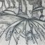 2nd-place-Siddhi Jain, 9 years old, Jersey city, USA, 2021, Save us, there is no place for us thumbnail
