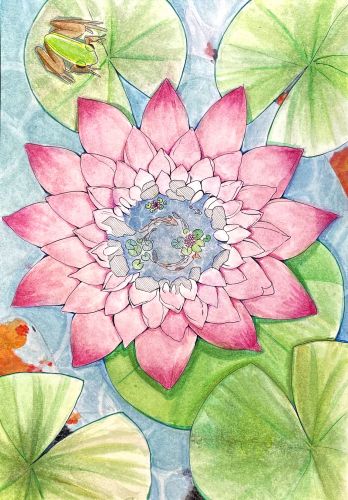 3rd place, Jo Ahn, 15 years old, Environment, CA, USA, 2023