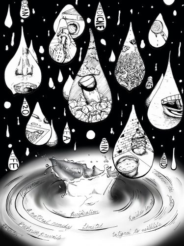 3rd Place Best BW art, Rosa Lee, 15 yrs old, CA, USA 2023