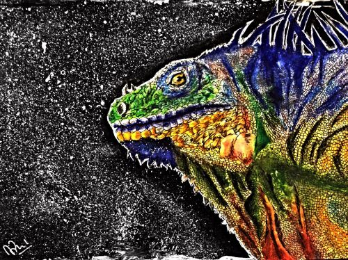 Aneira Pereira, 13 years old, United Arab Emirates