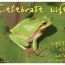 40th-earth-day-800px thumbnail