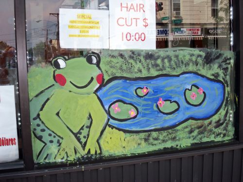 City-of-Trees-Window-Painting-Central-Ave-JC-67