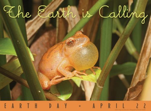 The Earth is Calling