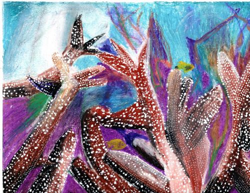 Honorable Mention: Abhay Pahwa, 8 years old, San Jose, CA, USA 2024