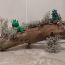 HM-Lauma-Ozere-10-years-old-Latvia-2024 thumbnail