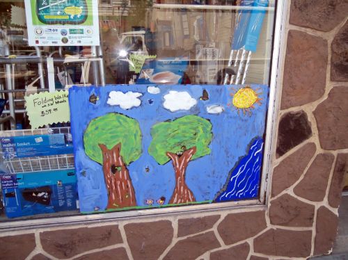 Keya-Swamirayan-city-of-trees-window-286-central-ave