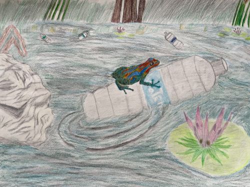 Lucas Kutz, 10 yrs old, GA, USA, Honorable Mention