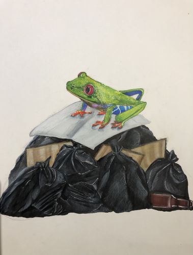 Yincheng Qian, 13 years old, USA, Honorable Mention winner 2020