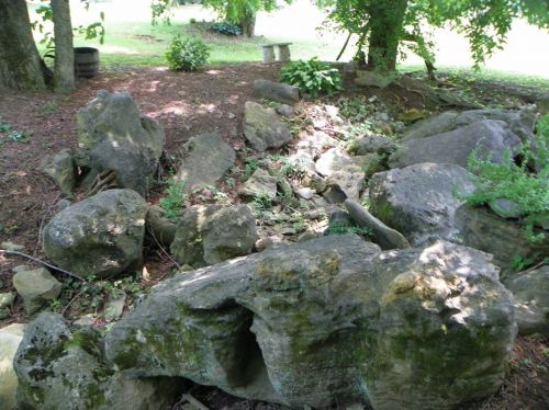 Frog Habitat at Sage Hill Farm in Tennessee