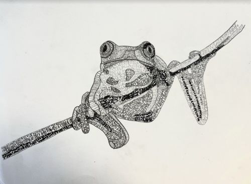 1st-Place-Best-JC, Augustina Guerrero, 17 yrs old, Jersey City, NJ, USA, 2021