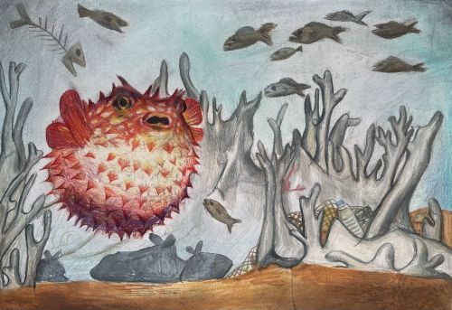 1st Place, Henry Kim, 8 years old, South Korea, 2024