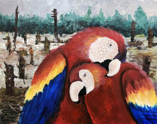 1st place, Hailin Zheng, 13 years, Canada