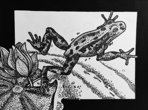 2-Seoyoung Bae, 11 years old, USA