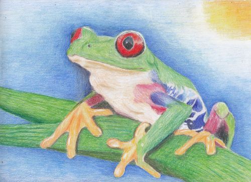 2-Zakiyah Hasanah, 12 years old, Indonesia