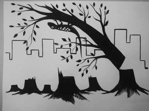 2nd Place, Alpieva Altynai, 14 years old, Kazakhstan