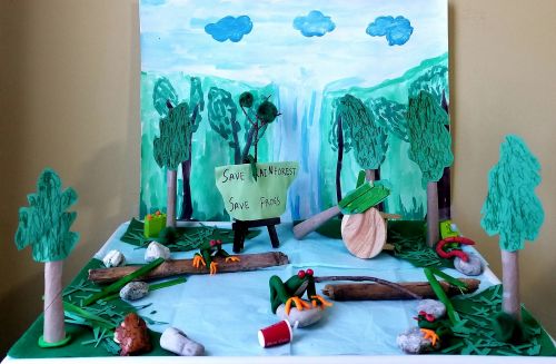 2nd-place, 3D Save the Rainforest by Isha Deshmukh, 7 yrs, New Jersey, USA