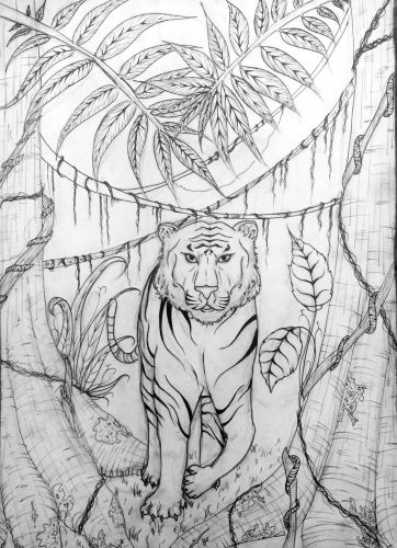 2nd-place, Elçin Sefer, 14 years old,Turkey