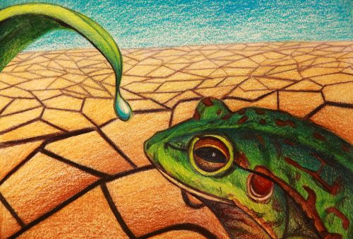 2nd Place Winner, Irene Qiao, USA, Frogs Are Green Kids Art Contest, Best Environmental Art