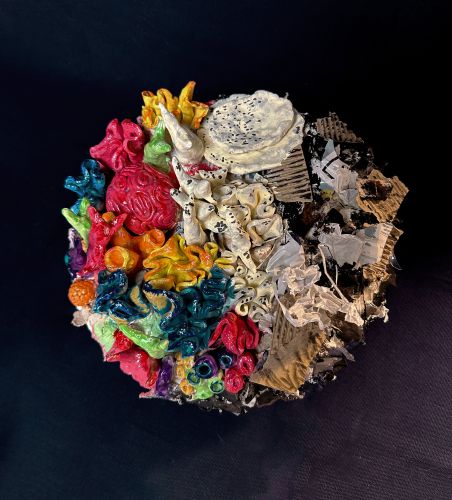 2nd Place Justin Cho, 12 years old, California, USA 2024