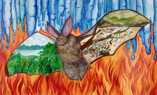 3rd-Olivia Jung, age 12, Canada, 2019