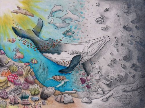 3rd Place Best Environmental, Minho Jung, 14 years old, California, USA 2024