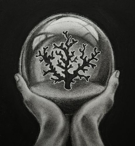 3rd Place Jessica Lawson, 17 years old, Illinois, USA 2024