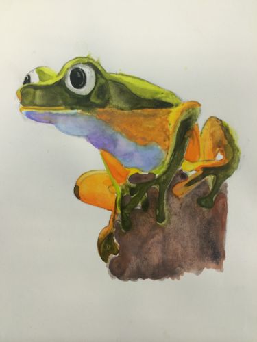 3rd Place Winner, Rachel Shneberg, New Jersey, USA, Frogs Are Green Kids Art Contest, Best of Jersey City