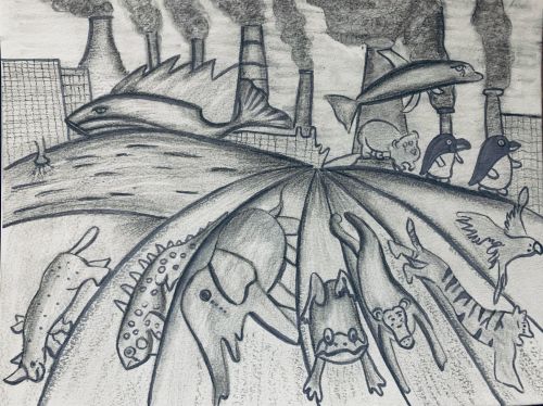 4th-Place-Siddhi Jain, 9 years, Jersey city , USA