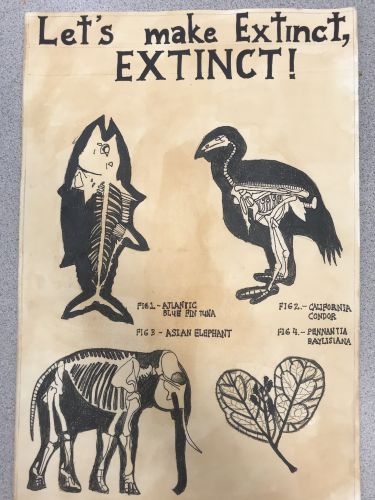 Amara Shah, 12 years old, Jersey City, NJ, USA, 2021