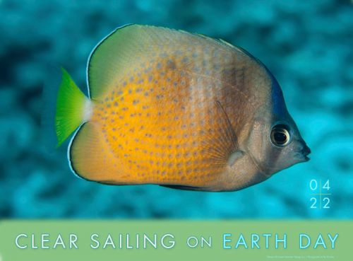 Clear sailing on Earth Day