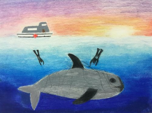 Daylin Corimayta, 14 yrs old, JC, NJ, USA, McNair Academic HS, Heroes In the Blue