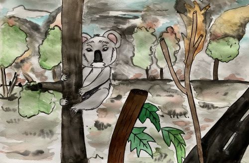 Destiny Garcia, 11 yrs, MS 40 United States, 2019