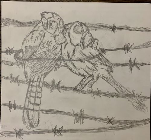 Emelin Saldana-Montes, 13 years old, United States-2021