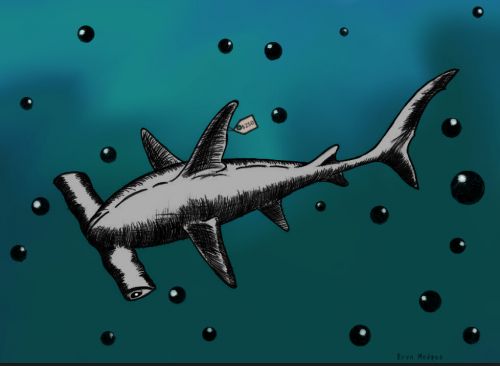 Eryn Hodges, 15, LIBERTY HS, Jersey City, NJ, USA, best JC 2020