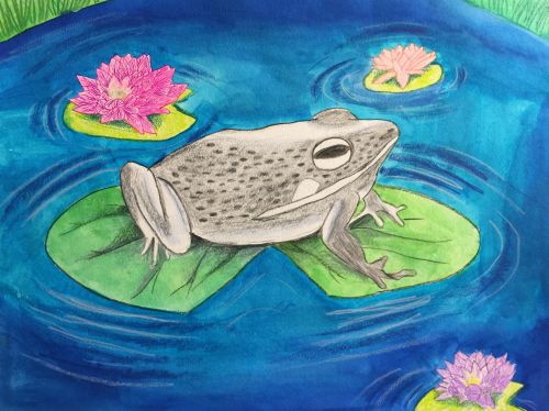 Gayeong Song,9 years old, CA USA