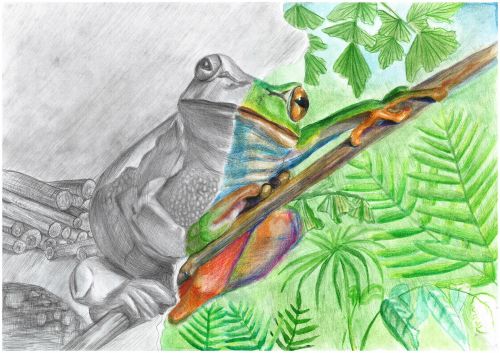 Gulnaz Serikbay, Kazakhstan, 16 years old, Kazakhstan