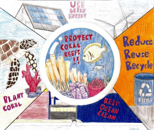 HM Best Environmental, Caitlyn Cai, 12 years old, New Jersey, USA 2024