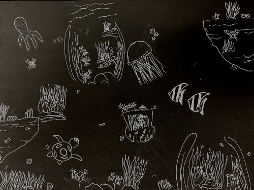 Honorable Mention Fabiola Figueroa, 15 years old, Florida, USA 2024