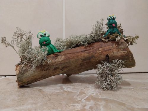 Honorable Mention Lauma Ozere, 10 years old, Latvia 2024