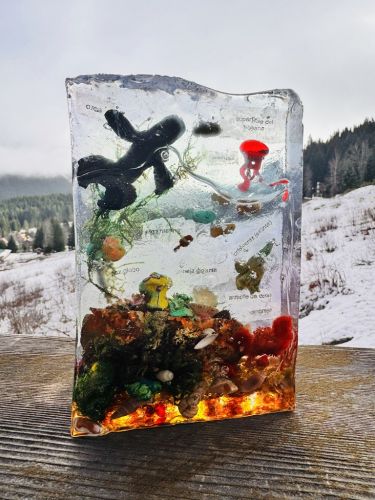 Honorable Mention Verity Truitt, 8 years old, WA, USA 2024