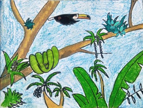 Ja Aswaa, 6 years old, India