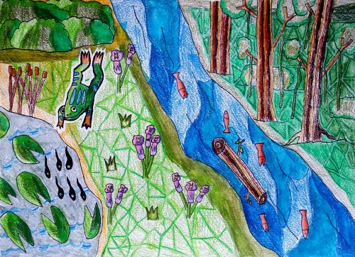 Jason-Kong-10-yrs-old-new-york-winner-2015