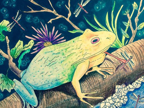 Jiyoon-Lee-10-yrs-old-CA-USA