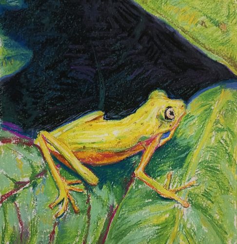 Ke Jiale, 16, China, Survival or destruction