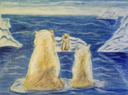 Lakshya Dhakar, 14, NJ, USA, McNair Academic, Drifting Away, Honorable Mention