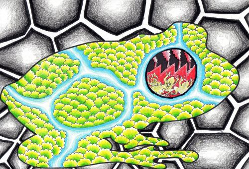 Natchapat Nakkham , age 11, Thailand